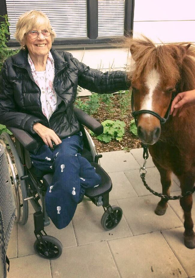 En äldre dam som sitter i en rullstol, klappar en lite ponny